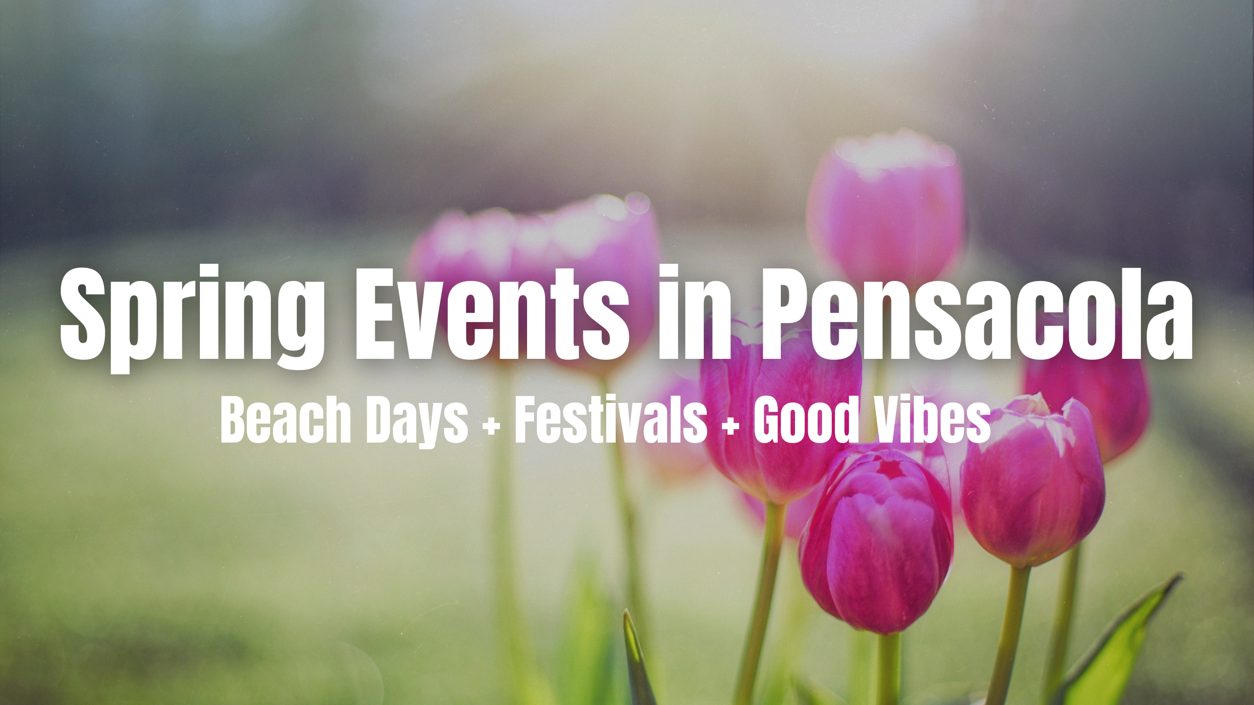 Exciting Spring Events in Pensacola: Festivals, Parades & Beachside Fun!